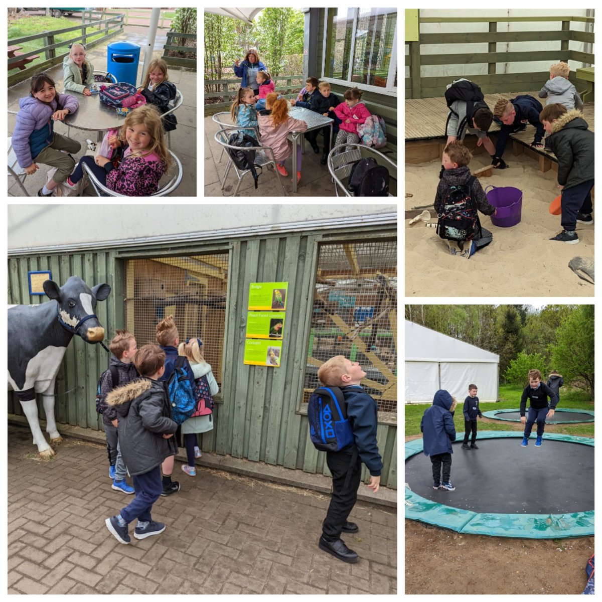 Miss Mitchell tweet media