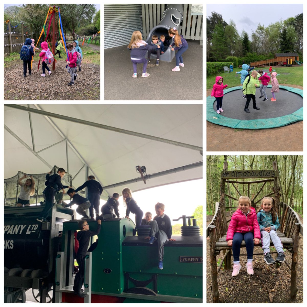 Miss Mitchell tweet media