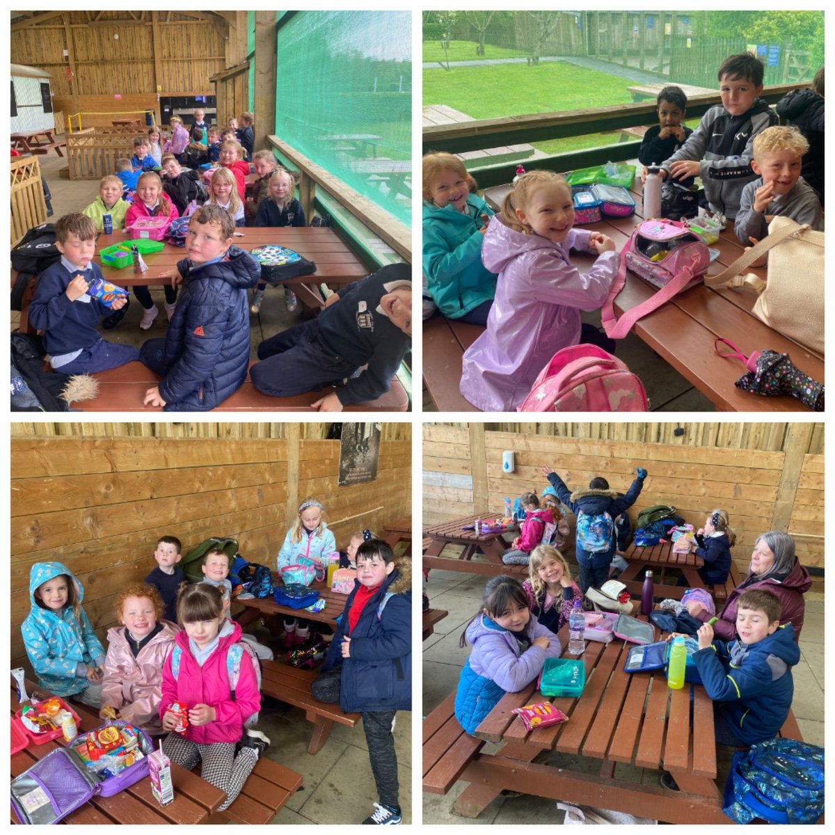 Miss Mitchell tweet media