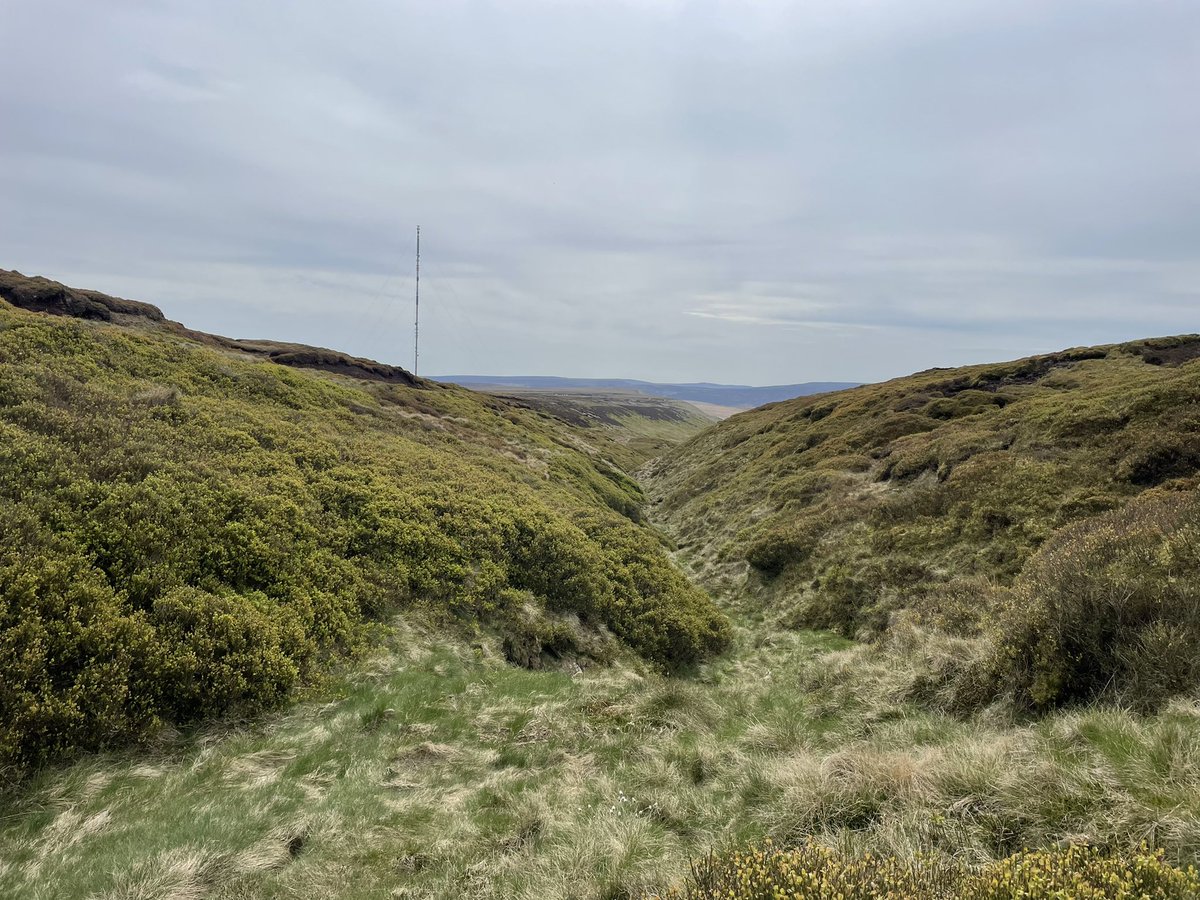 BritainsHigh's tweet photo. 32/47 Black Hill, West Yorkshire, 582m. #getoutside #England #Yorkshire https://t.co/iYMc7MPsR7