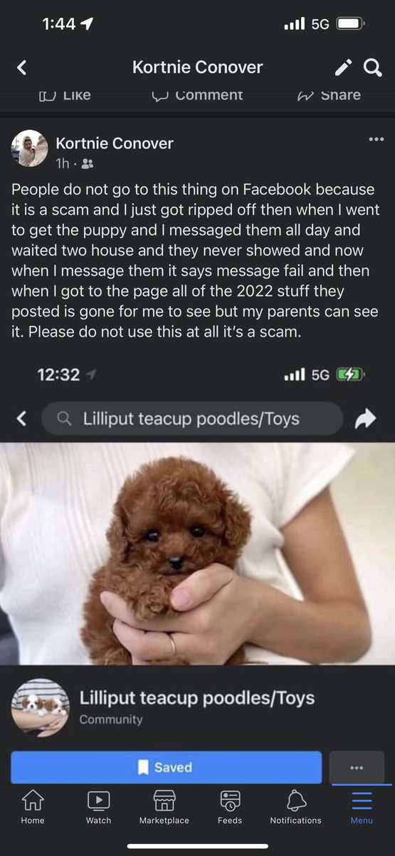 PLEASE DO NOT TRY and get a dog from the people read why in the picture. Just please don’t.