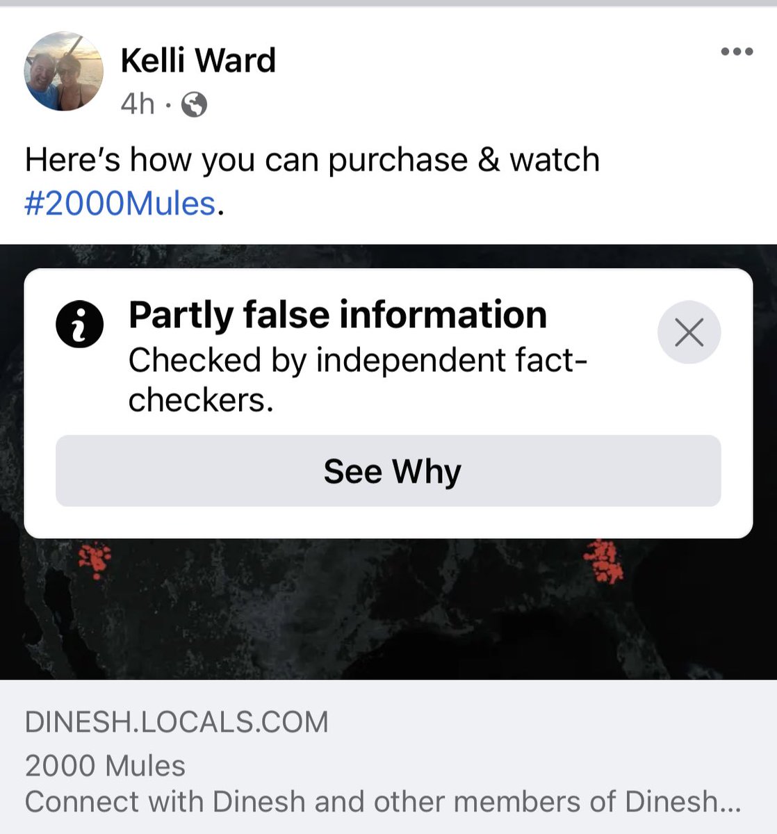 kelliwardaz's tweet photo. They REALLY don’t want you to see this movie. Simply sharing HOW people can watch it is now #FakeChecked. Doesn’t it make you want to see it even more?! #2000Mules @DineshDSouza https://t.co/hN1eCwAI8t https://t.co/zUDYO4SoMq
