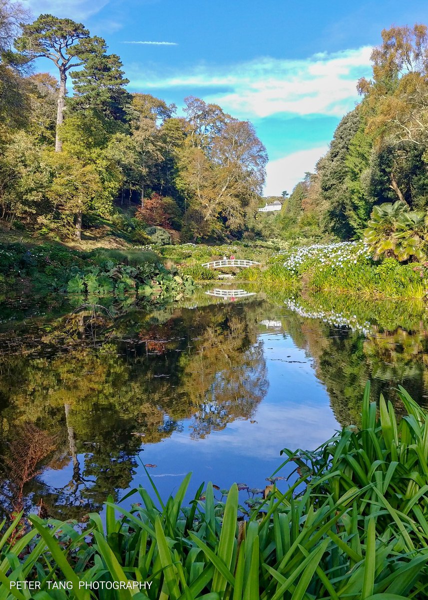 T R O P I C A L   P A R A D I S E

Throw back from when we visited Trebah Gardens on our family holiday in Cornwall
#cornwall #uk #trebahgardens #reflections #throwback #picoftheday #naturalbeauty #beautiful #mobilephotography #mobilecapture #capture #justgoshoot #throughmylens