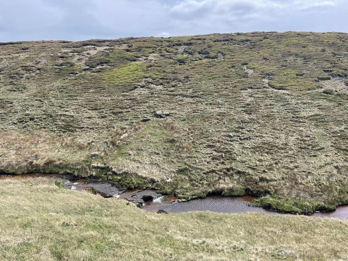BritainsHigh's tweet photo. 33/47 Black Chew Head, Greater Manchester, 542m. #Manchester #pennineway #walking https://t.co/lGOTlhxYS3
