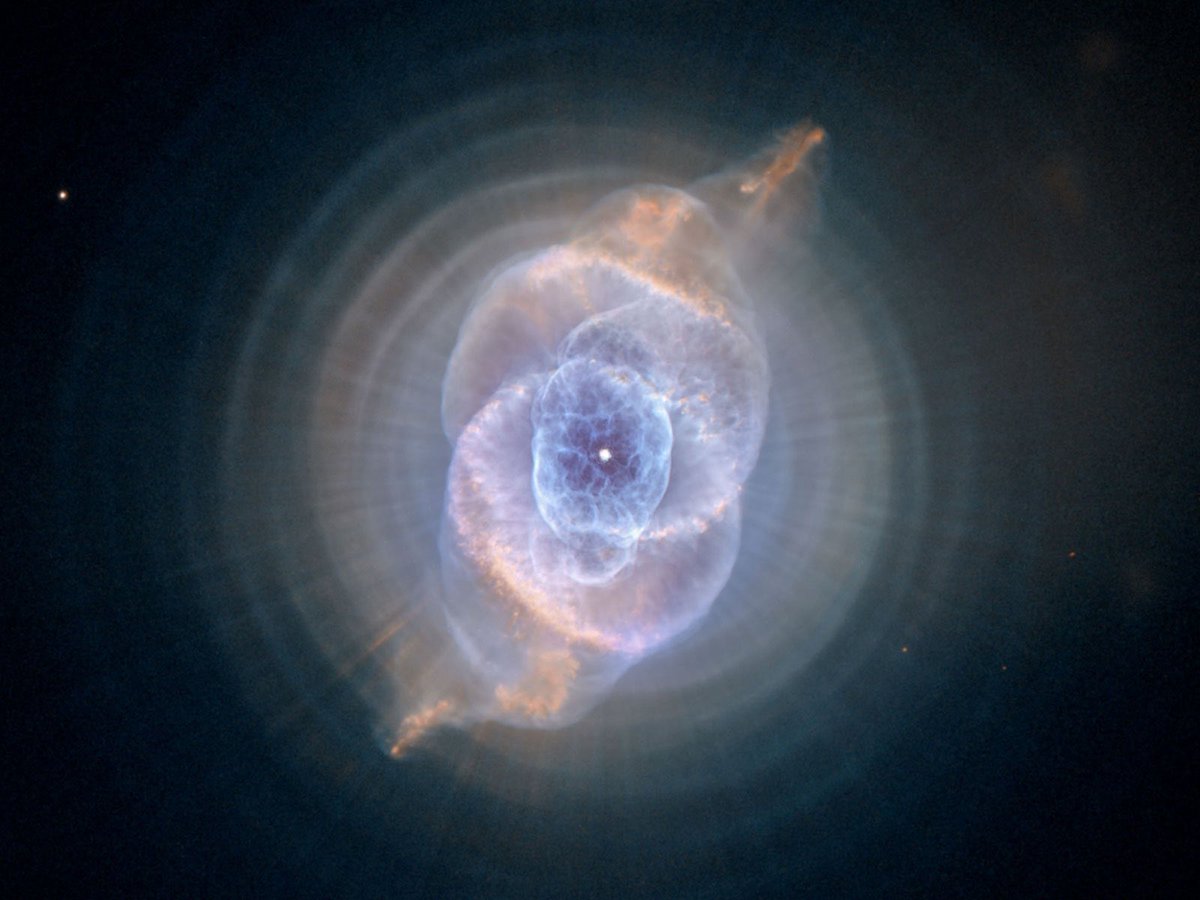 Space tweet media