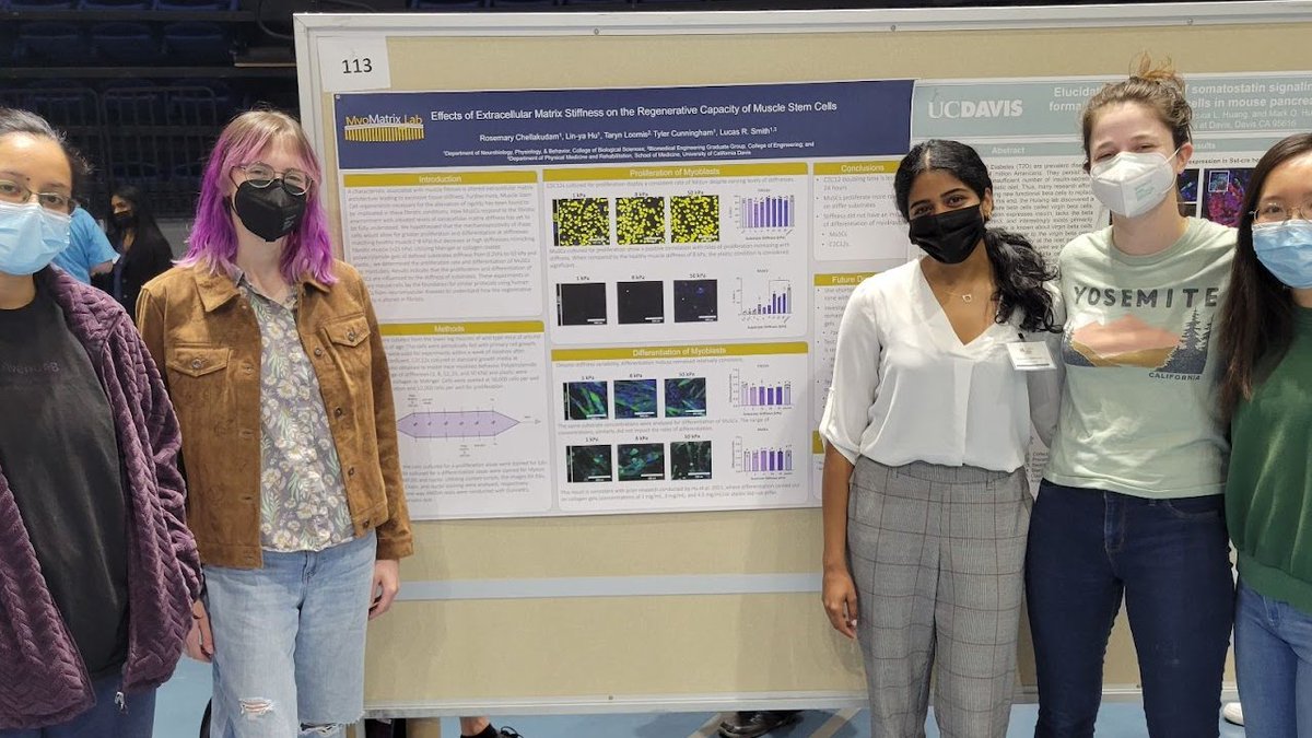 A little late, but Rosemary was awesome in presenting her work on muscle stem cells at the CBS Dean's Circle Undergraduate Research Conference! <a href="/ucdavisbiology/">Biological Sciences</a>