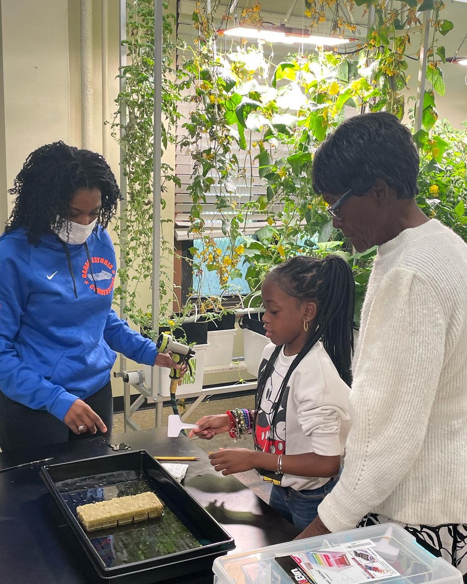 monicamoralestv's tweet photo. Watch at 4:15 and 5:55!  Planting Seeds of Sustainability!  A room inside the Astoria Houses community center has been converted into a place where children  can grow their own food.  We get a tour from 9-year-old Blessing Byrd. @pix11news @NYCHA @HanacYouth @NYPAenergy https://t.co/GHswYBicLJ
