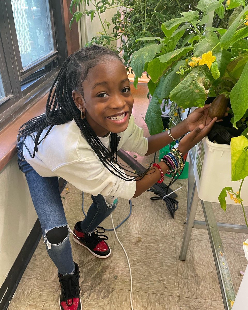 monicamoralestv's tweet photo. Watch at 4:15 and 5:55!  Planting Seeds of Sustainability!  A room inside the Astoria Houses community center has been converted into a place where children  can grow their own food.  We get a tour from 9-year-old Blessing Byrd. @pix11news @NYCHA @HanacYouth @NYPAenergy https://t.co/GHswYBicLJ
