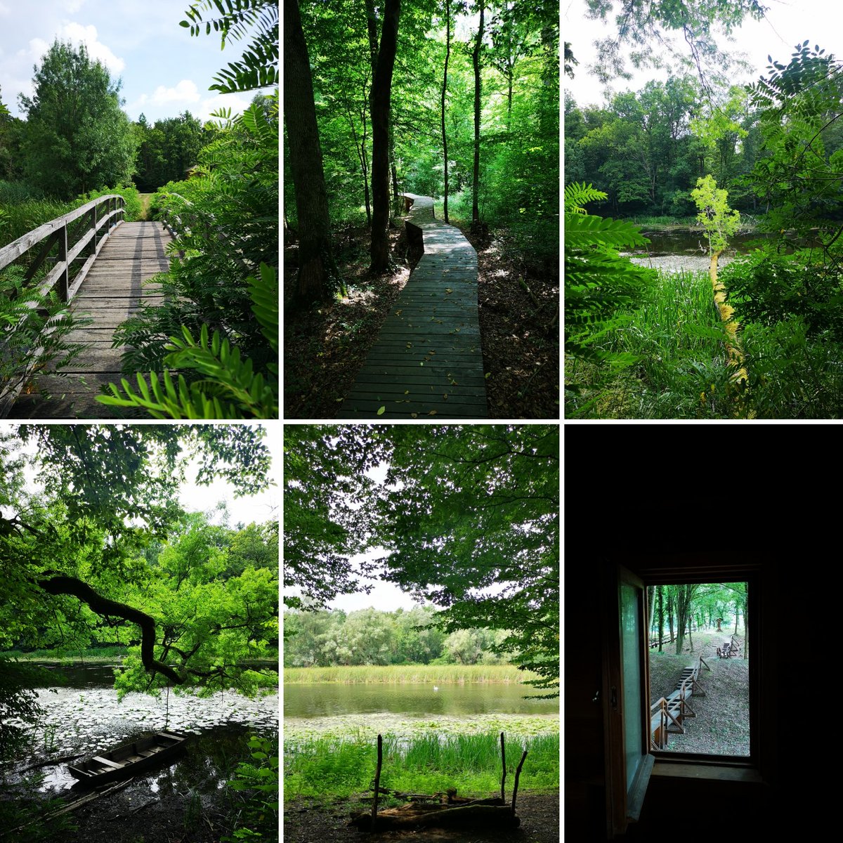 KAZ 🇭🇷 ⰽⰰⰸ tweet media