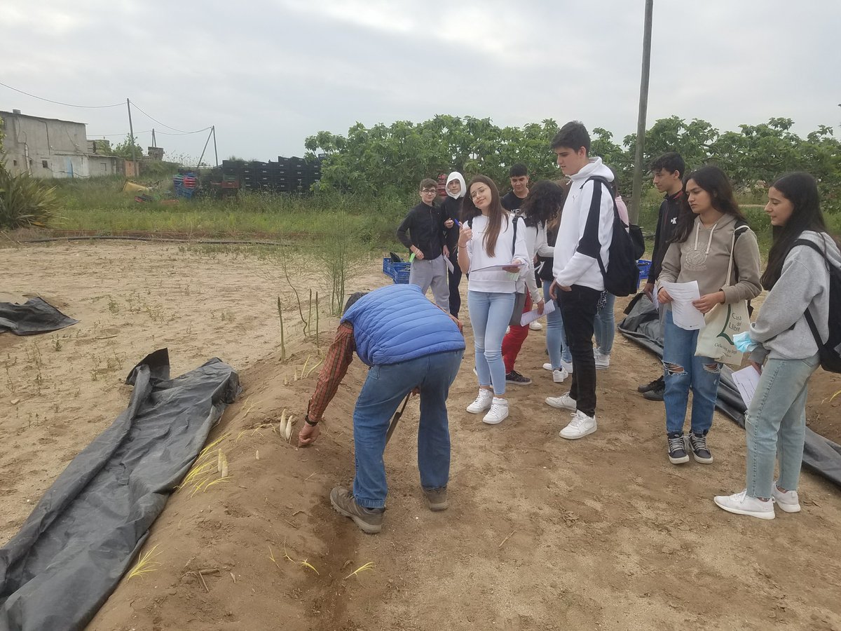 inselcalamot's tweet photo. El dimecres 4 de maig els alumnes de 3rB van anar al Parc Agrari de Gavà en el context del projecte "D'on prové el que mengem".  #ABP #aprenentatgeperprojectes #femsortides https://t.co/RpxF6PIuK1