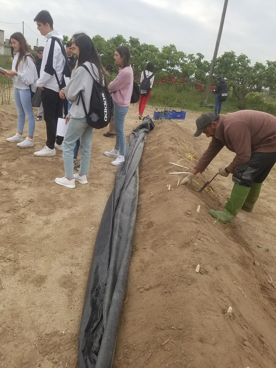 inselcalamot's tweet photo. El dimecres 4 de maig els alumnes de 3rB van anar al Parc Agrari de Gavà en el context del projecte "D'on prové el que mengem".  #ABP #aprenentatgeperprojectes #femsortides https://t.co/RpxF6PIuK1