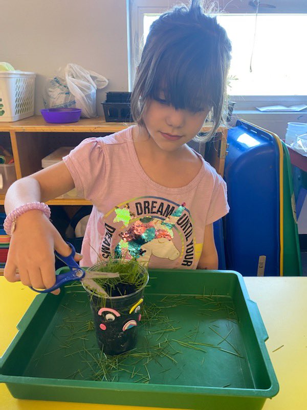 Amanda Siegman tweet media