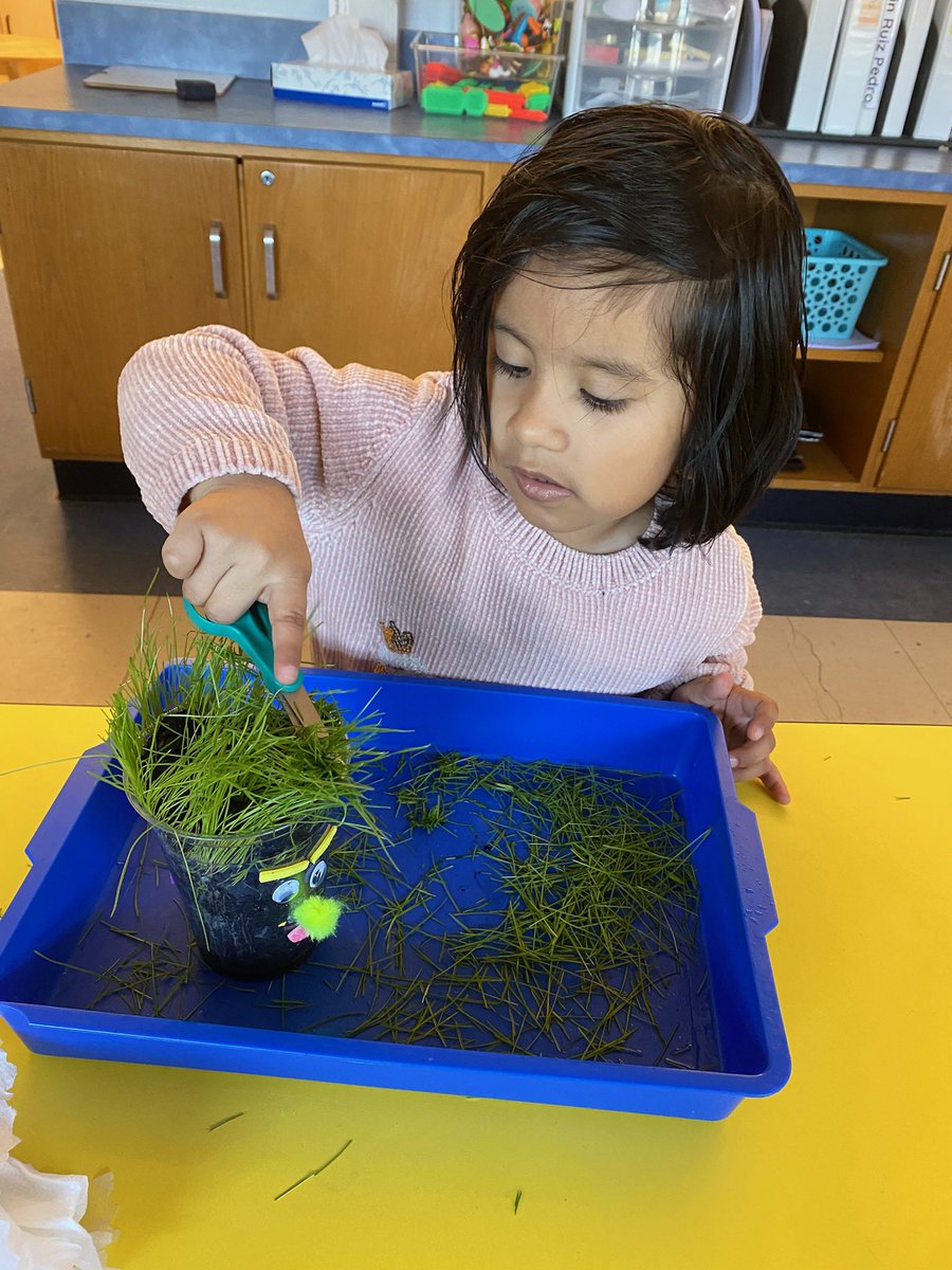 Amanda Siegman tweet media