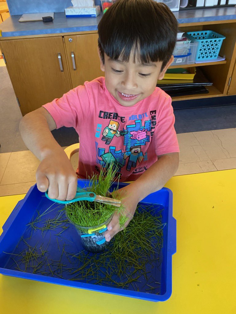 Amanda Siegman tweet media