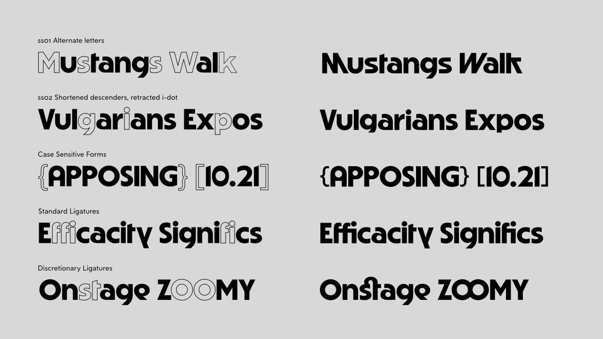 Road to Venice Type tweet media