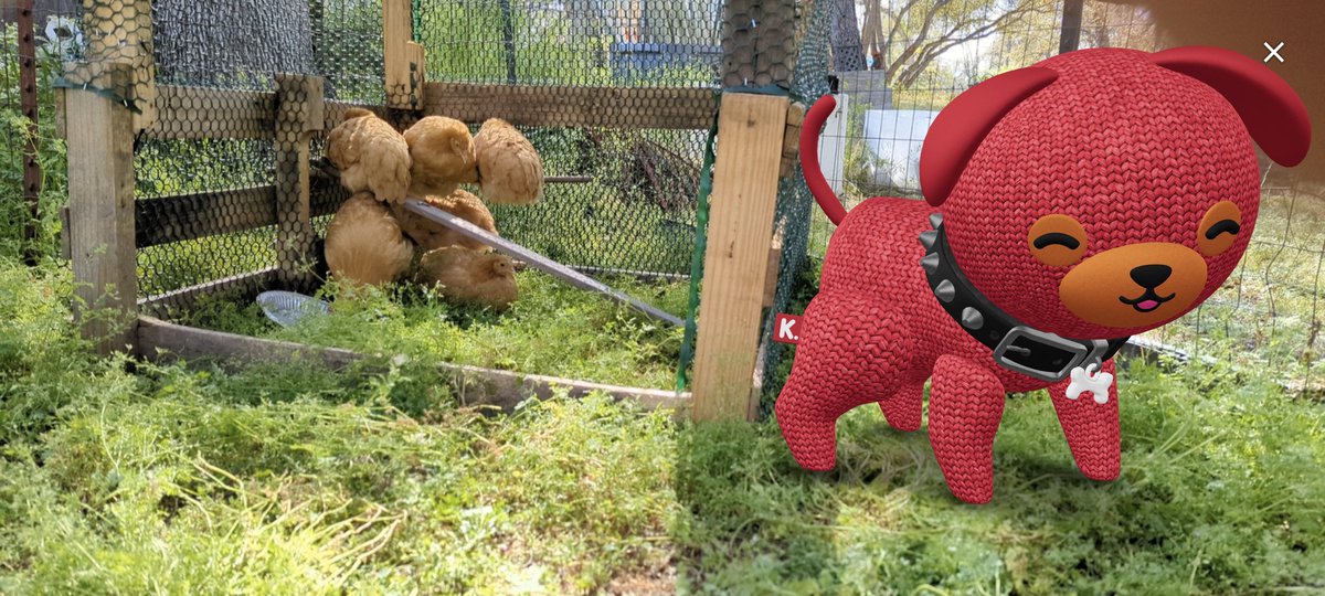 ROWDYNORSEMAN's tweet photo. @cryptoknitties Played an Alpha of the game and excited to see how it progresses. For now I am having too much fun with AR photography. Would love to see some farm animals like Knittkens #CNFTCommunity #CNFT #LFknit #ARart https://t.co/kuzjlMpiKU