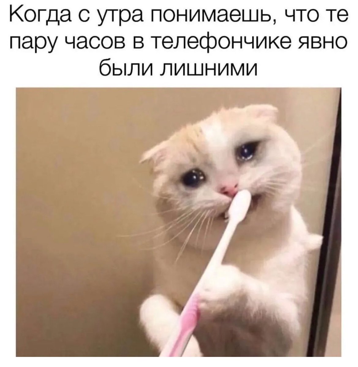 The_Smolny's tweet photo. https://t.co/uWIBzabTO4