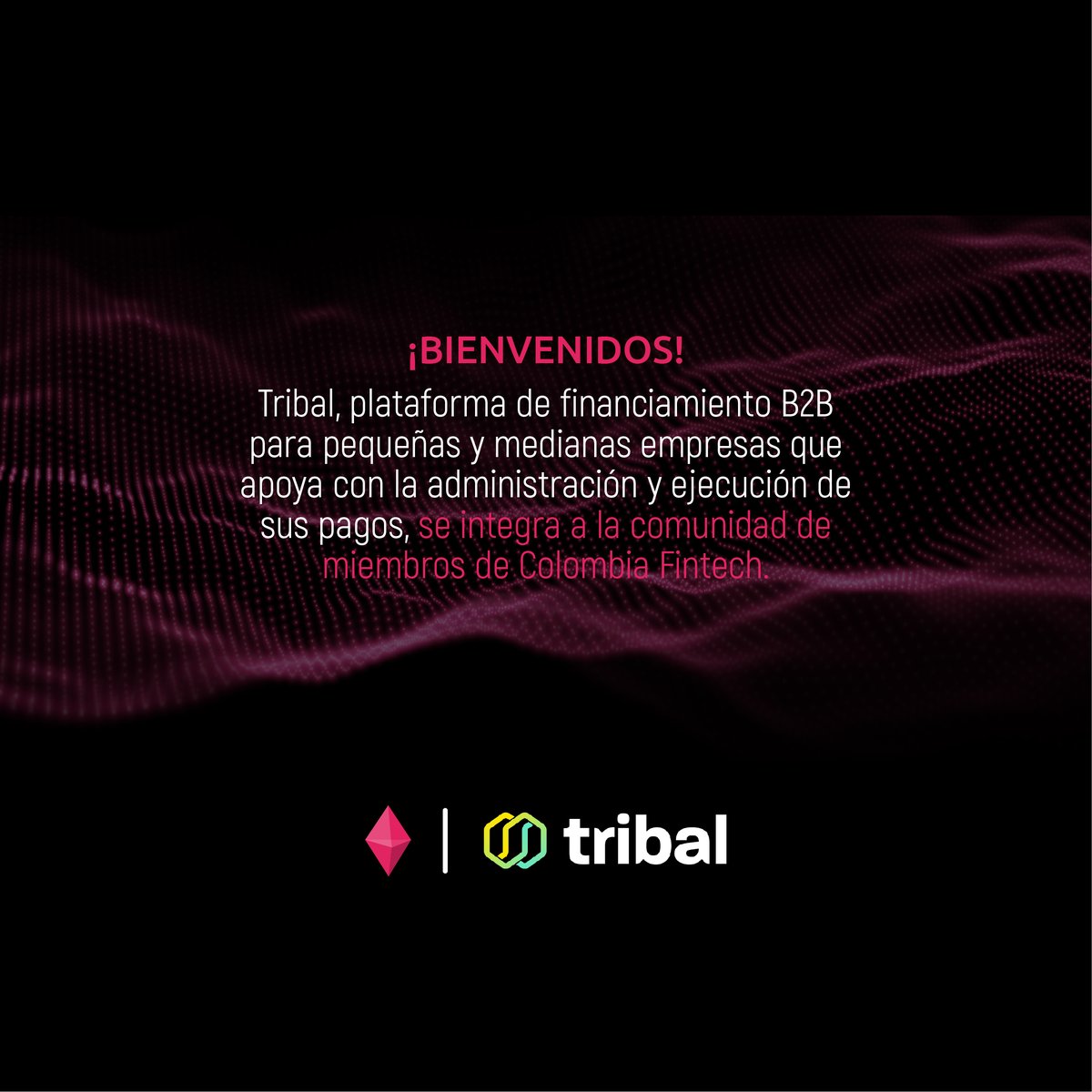 colombiafintech's tweet photo. #CFMembers ¿Sabían que @TribalCredit hace parte de nuestra comunidad?🔥 ¡Bienvenidos a estos cracks!💃🏻 #Fintech que ofrece tarjetas corporativas y una plataforma de administración de gastos para empresas en mercados emergentes🙅🏻‍♀️🚀 Más de esta integración👉🏼https://t.co/nXAzSSfn7a https://t.co/rb8g1zqmTn