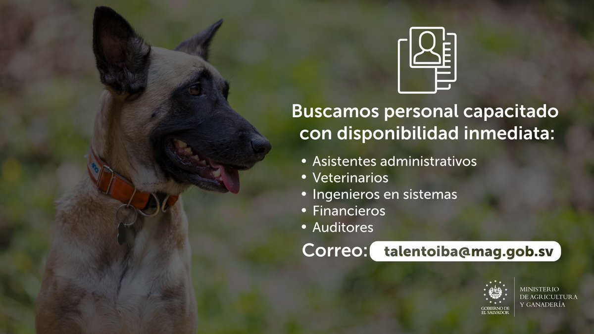 ¡Buscamos personal para el <a href="/IBAElSalvador/">Instituto de Bienestar Animal</a>! Pronto iniciará funciones la institución que trabajará por el #BienestarAnimal. Envía tu CV a: talentoiba@mag.gob.sv