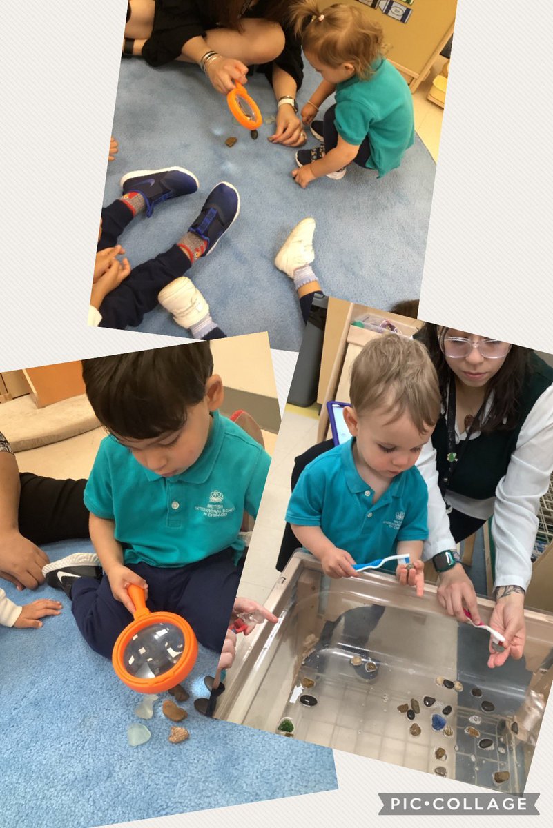 prenurserybisc's tweet image. #MondayFunday is happening in the #TalentedTadpoles classroom today!
Today starts a new topic and loads of rock explorations! 🧐🪨🔎
#toddlers #bisclp #bischicagolp #bisclincolnpark @BISCLincolnPark