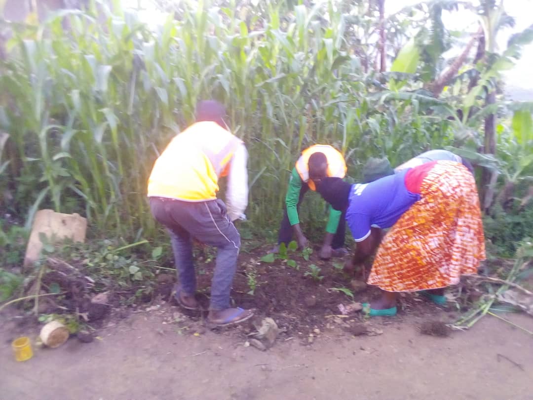 RutareRyvcp's tweet photo. Uyu munsi tariki 9/5/2022
Abakorerabushake,NYC  bo mu murenge wa Rutare muri gahunda yo kurwanya imirire mibi n'igwingira tubatse uturima tw'igikoni
@Gicumbi
@Rutare
@Youthvolunteers https://t.co/yh93GgnzNw