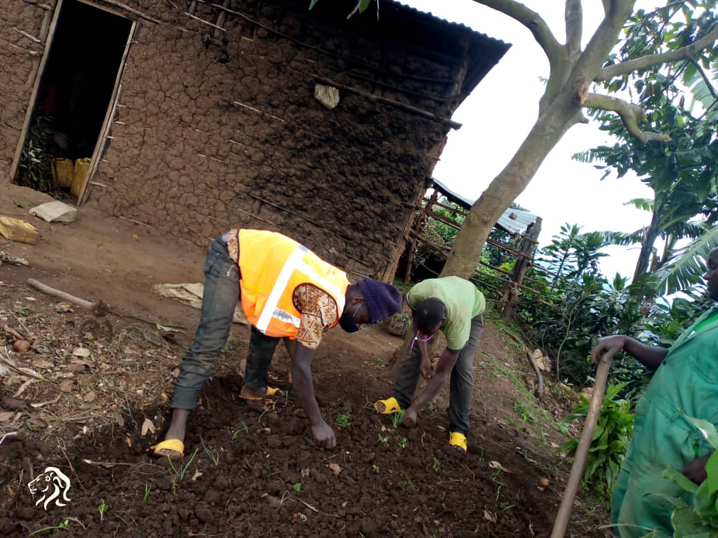 RutareRyvcp's tweet photo. Uyu munsi tariki 9/5/2022
Abakorerabushake,NYC  bo mu murenge wa Rutare muri gahunda yo kurwanya imirire mibi n'igwingira tubatse uturima tw'igikoni
@Gicumbi
@Rutare
@Youthvolunteers https://t.co/yh93GgnzNw