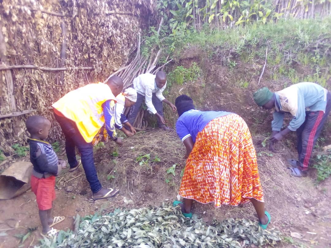 RutareRyvcp's tweet photo. Uyu munsi tariki 9/5/2022
Abakorerabushake,NYC  bo mu murenge wa Rutare muri gahunda yo kurwanya imirire mibi n'igwingira tubatse uturima tw'igikoni
@Gicumbi
@Rutare
@Youthvolunteers https://t.co/yh93GgnzNw