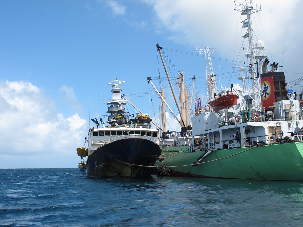 Stronger global transshipment guidelines will help keep our oceans safer and keep illegally-caught fish out of the supply chain.

Join us Wednesday for a discussion on this important practice: pew.org/39890R2

<a href="/FAO/">Food and Agriculture Organization</a>