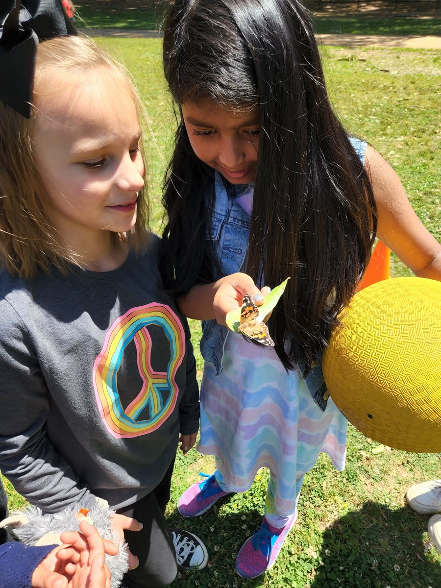 Sean Splawski tweet media