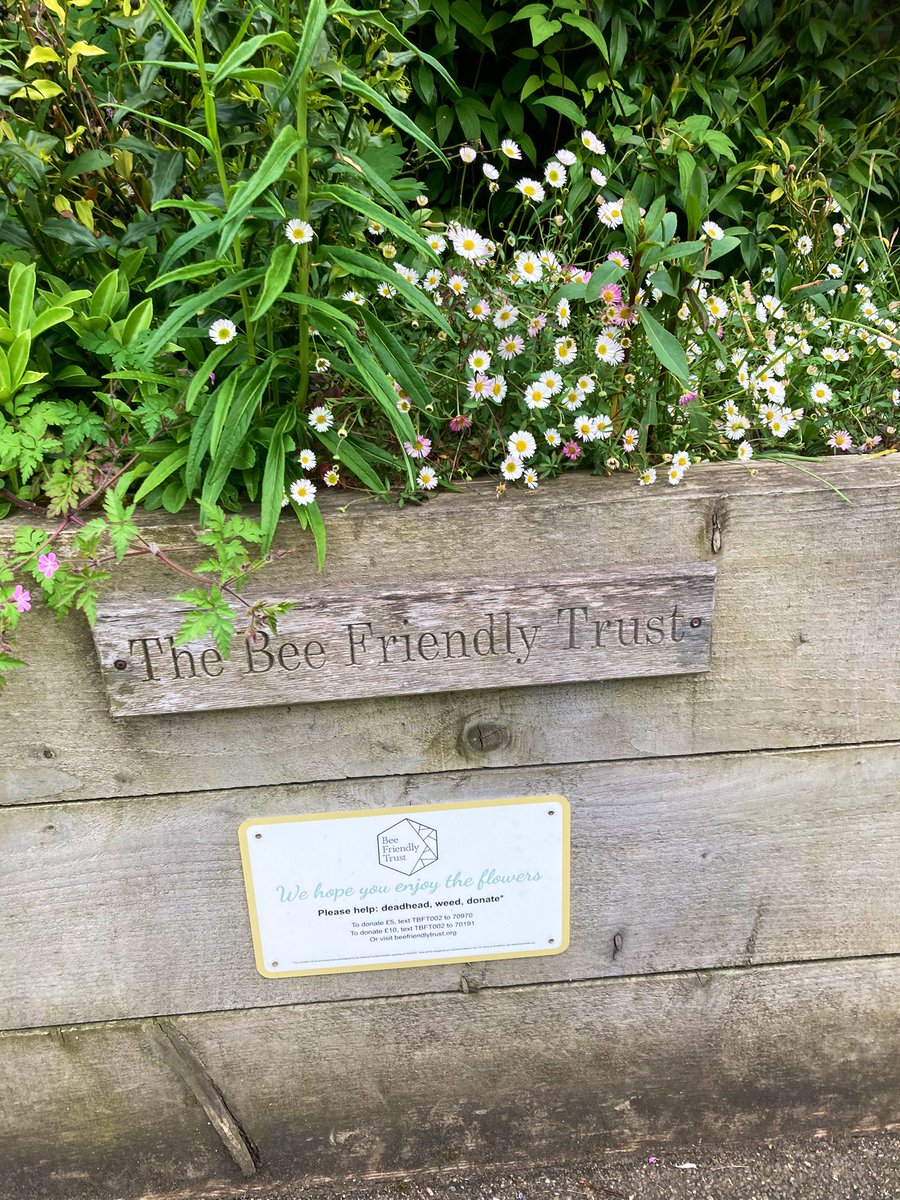GreenFeltham's tweet photo. Bee Friendly Trust planters at Richmond station. Thanks to funding from @LBofHounslow and collaboration between #FelthamInBloom and @CharityFcda will hopefully have our first one of these installed at Feltham in the next couple of weeks. A similar construction but slightly lower https://t.co/qt53wVr407