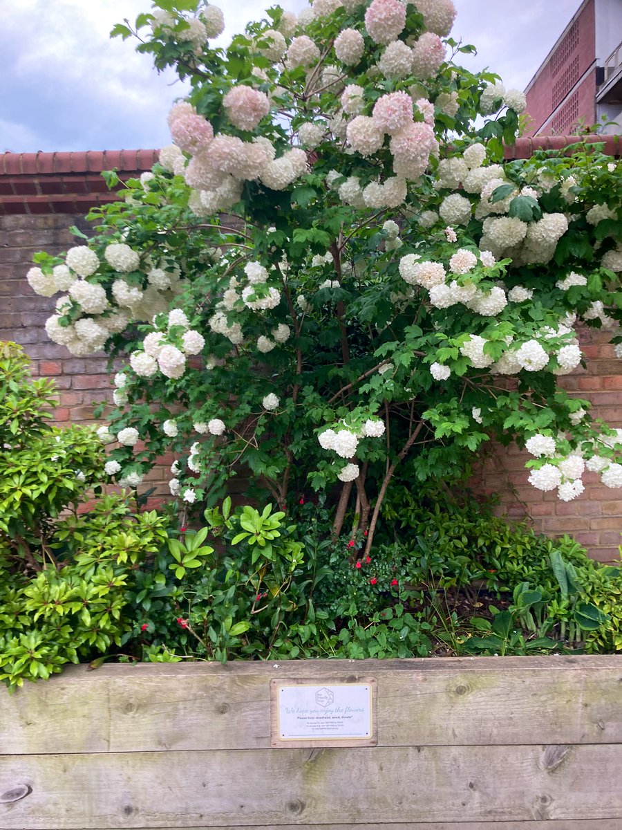 Green Feltham project (@greenfeltham) on Twitter photo Bee Friendly Trust planters at Richmond station. Thanks to funding from <a href="/LBofHounslow/">Hounslow Council</a> and collaboration between #FelthamInBloom and @CharityFcda will hopefully have our first one of these installed at Feltham in the next couple of weeks. A similar construction but slightly lower Bee Friendly Trust planters at Richmond station. Thanks to funding from <a href="/LBofHounslow/">Hounslow Council</a> and collaboration between #FelthamInBloom and @CharityFcda will hopefully have our first one of these installed at Feltham in the next couple of weeks. A similar construction but slightly lower
