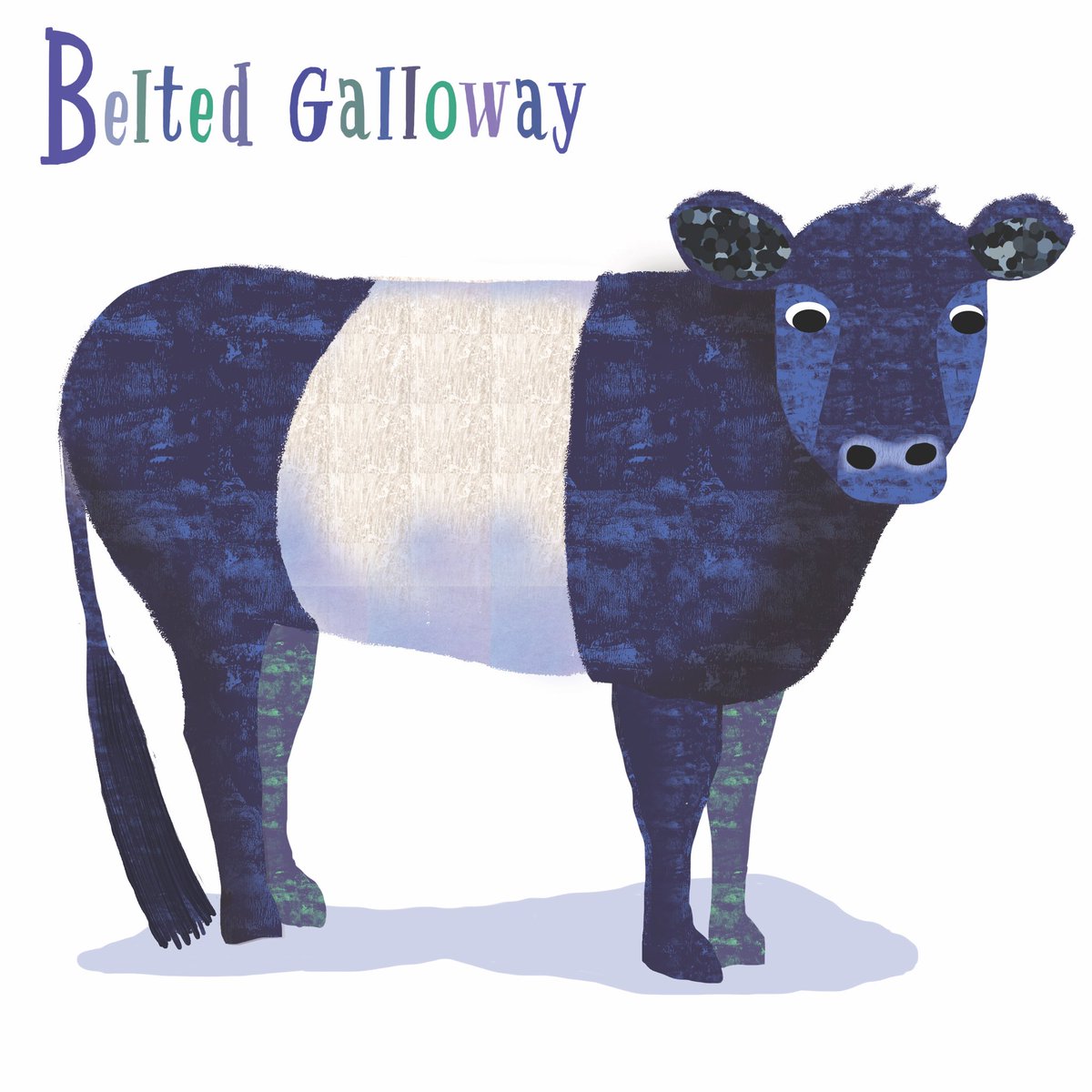 Tracy Cottingham tweet media