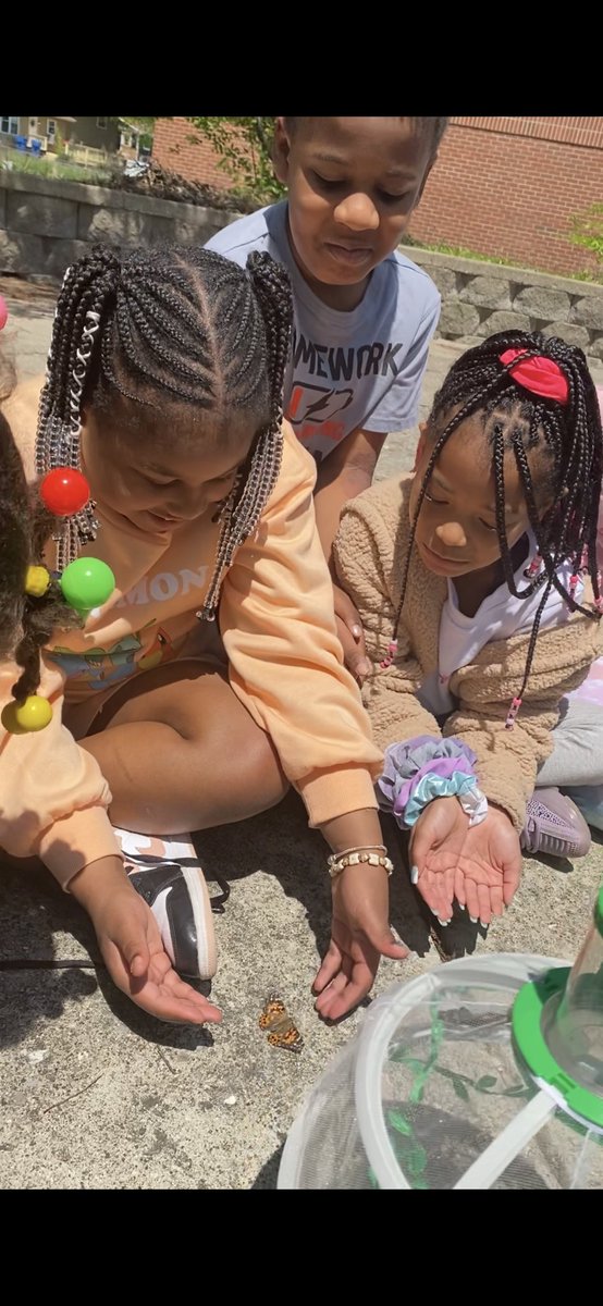 Butterfly 🦋 release today! The kids were so proud and excited!