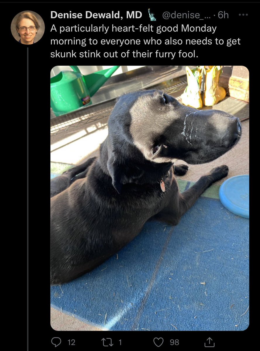 I was finally able to get the smell out of my fur and the dog decided to come around me again.