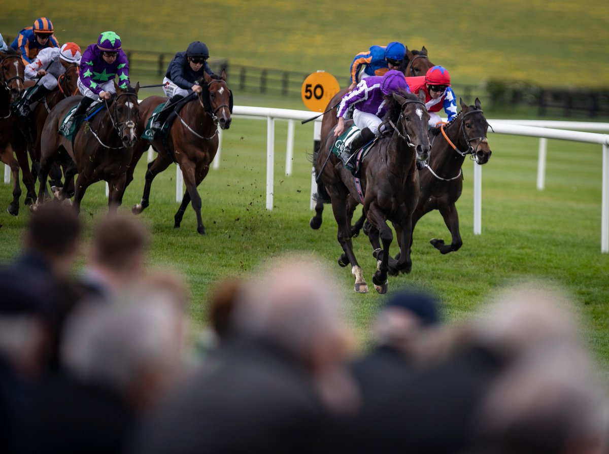 Naas Racecourse tweet media
