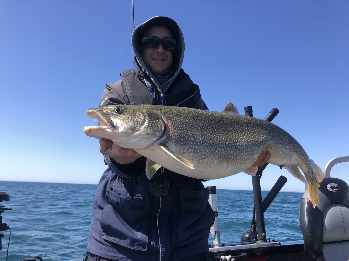 Big #laketrout hit the deck yesterday with <a href="/ReelColdFront/">ReelColdFront</a>!!  Twinkies aren’t only for kings, one goes great with a spin and glow trailing a flasher or dodger 🎣🕺🤙 #majorimpactangling #experiencelakeontario #fishing #toronto #lakeontario #crestlinerboats #guidelife #spring #sun