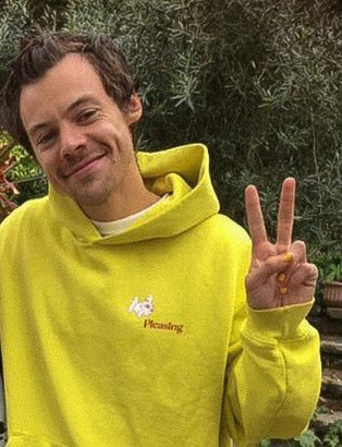 angelsue369's tweet photo. harry’s house is 🍋🍌🌙🥎🌼💛🌟 https://t.co/feShTKOe0U