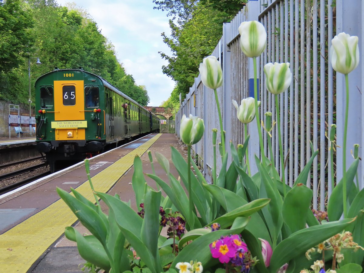 SouthernTransp3's tweet photo. A few snaps from a very enjoyable day out onboard @HastingsDiesels Class 201 'Thumper' 1001 on their Worcester Sauce DEMU Railtour operating from Hastings to Worcester Shrub Hill via Oxford and the Cotswold Line last Saturday. https://t.co/z10coxUjzF