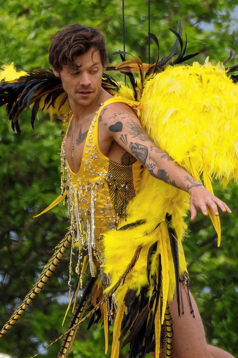 flightlesshrry's tweet photo. “He moved from cabriolé to saut de basque, his wings fluttering wildly around him.” https://t.co/HR2Wk0MP9U