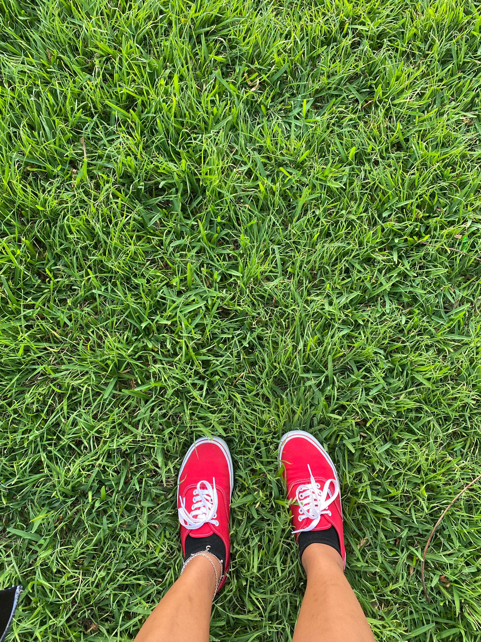 𝕭𝖍𝖆𝖗𝖇𝖘 🦋 on Twitter "Vans will make her dance https//t.co/P9wxZeP81q