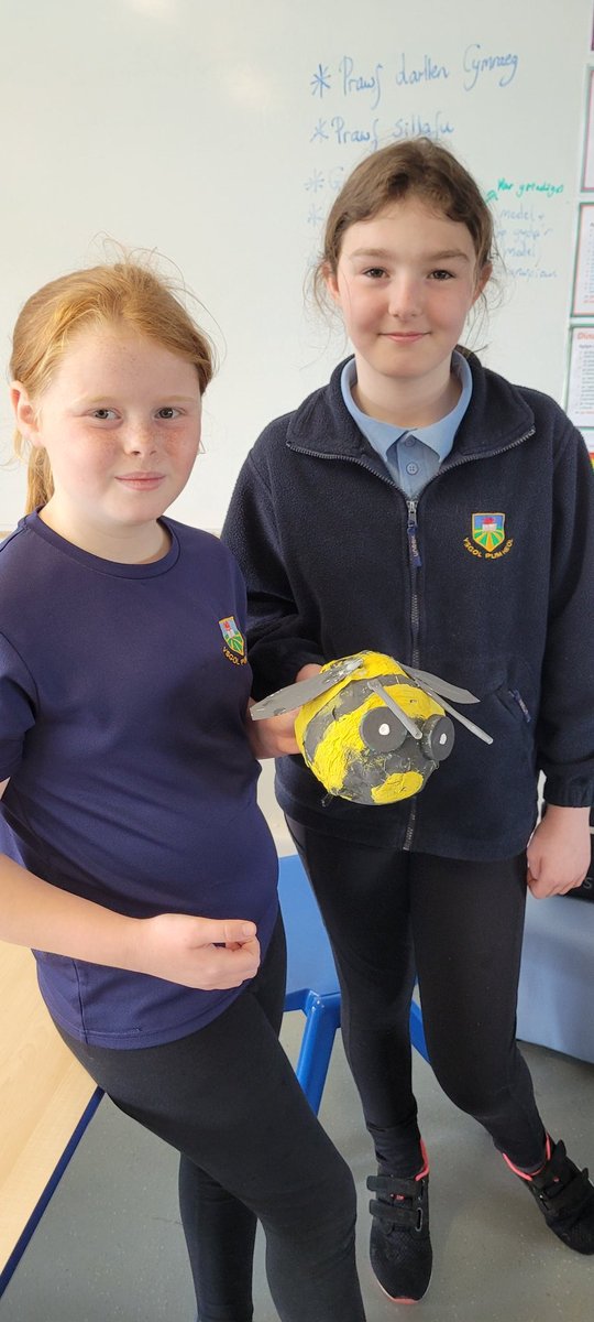 YsgolPumHeol's tweet photo. Modelau o drychfilod/ insect model #bl5a6 #beastcreator #crewrbwystfilod #pumheol https://t.co/gki9ziGEyo