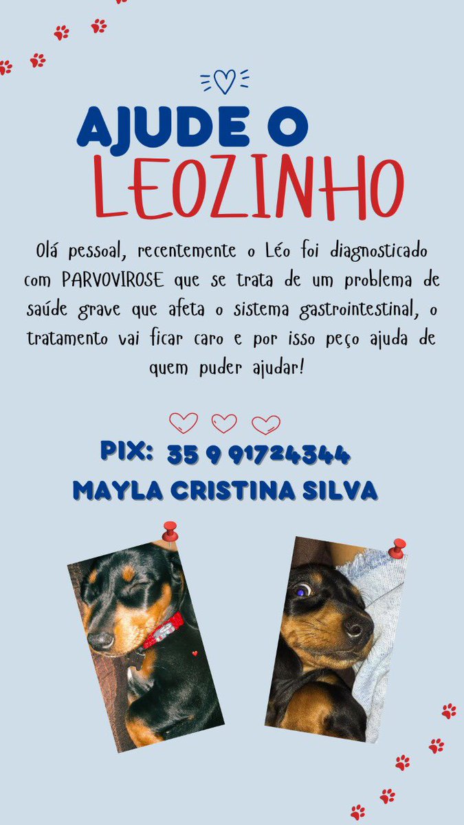 m4ylinha's tweet photo. Gente, compartilhem pf https://t.co/WOoziDDOXE