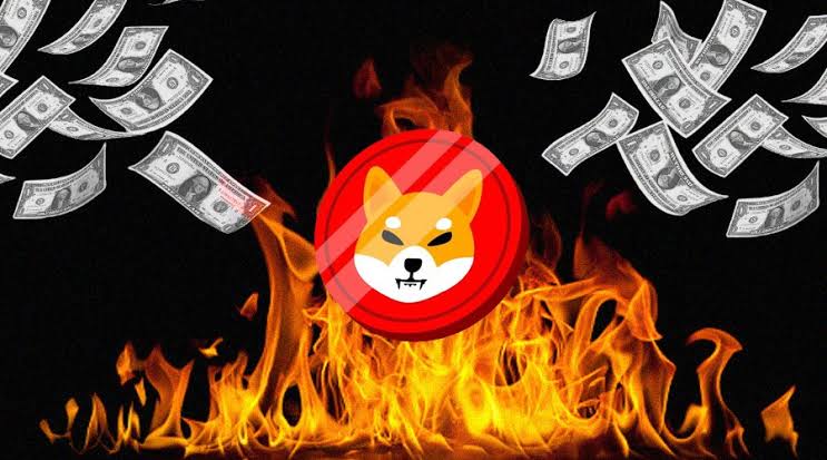 SuhelMemon4's tweet photo. Shiba Inu will Eliminate 50% of the remaining supply by 2023.

🔥🔥🔥🔥🔥🔥🔥🔥🔥🔥🔥🔥🔥🔥🔥🔥 https://t.co/imSh198Xnq