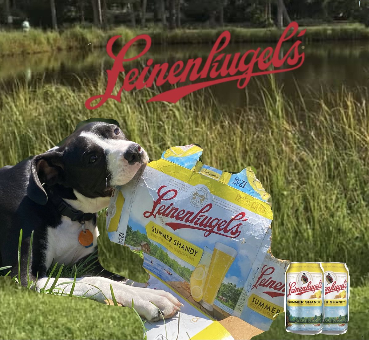 kyrstinrelihan's tweet photo. Beer poster, but make it dog @Leinenkugels #beerposter #dog #summershandy https://t.co/1hbr9OTYJG