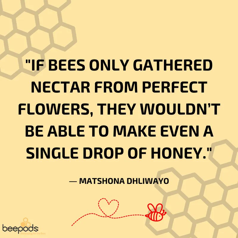Beepods's tweet photo. "If bees only gathered nectar from perfect flowers, they wouldnβt be able to make even a single drop of honey."
β Matshona Dhliwayo
Just think about that for a minute π€
#Savethebees #Beepods #Honey #Bees #mondayMotivation https://t.co/J1nhYmvPL2