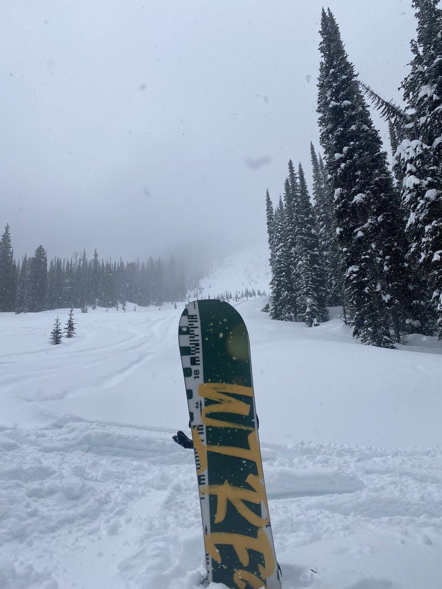 SHRED_ENT's tweet image. We could definitely go for 1-2 more days of 2023 product testing on the new Devun Walsh. Let’s hope next season is just as deep!  @wiredsnow @HMSCHL @KootRocks #wiredsnowboards #walshseries  #danggoggles #wiredbindings #kootrocks #needanotherreset
