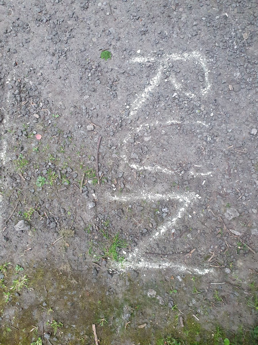 Richmond Triathlon Club tweet media