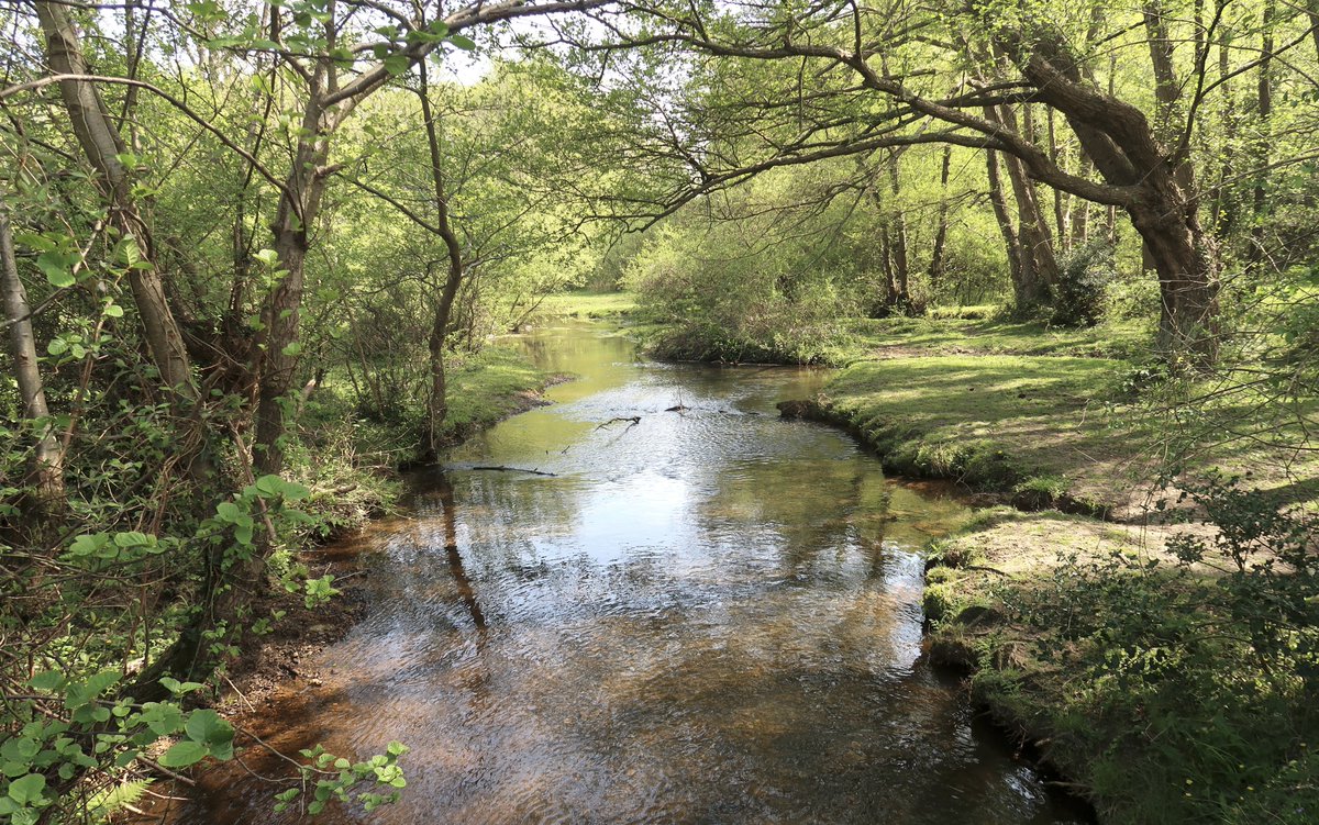 Little Cottage tweet media