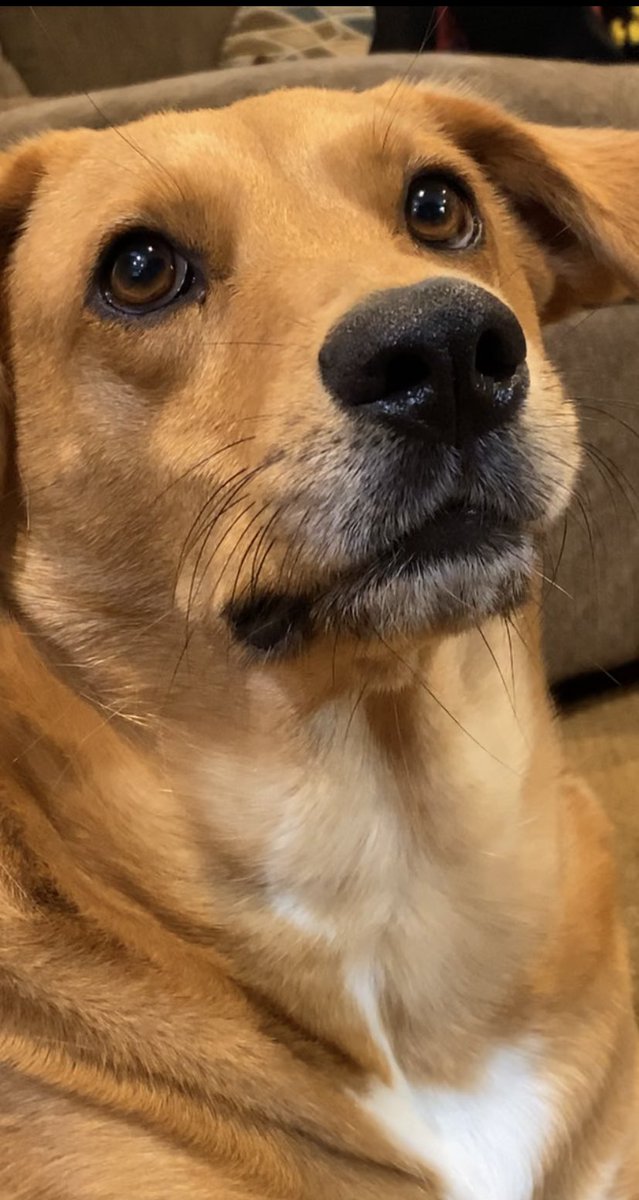 Chris Drabik (@chrisdrabik) on Twitter photo 