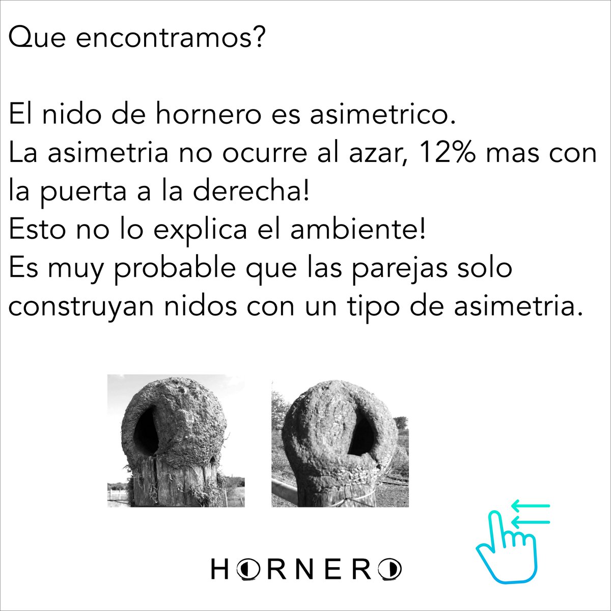 PUBLICACION ACEPTADA!
CRISTALIZA UN PROYECTO QUE PARA NOSOTROS HA SIDO MARAVILLOSO!
#CienciaCiudadana
#hornero
#joaodebarro